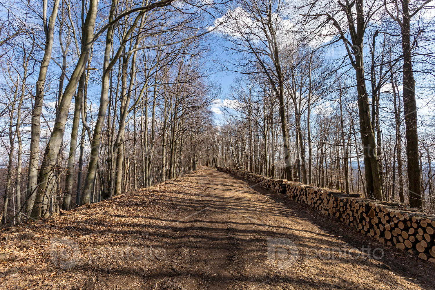 Hiking trail on the Nagy-Hideg-hegy in the Börzsöny