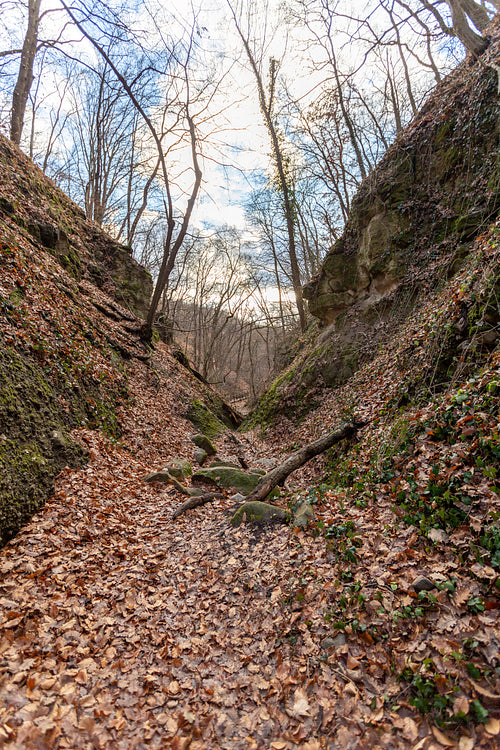 The Moonlight valley in the Visegrád Mountains