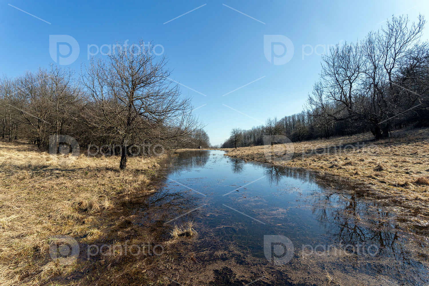 Small pond on the Nagy-Sas-hegy in the Börzsöny