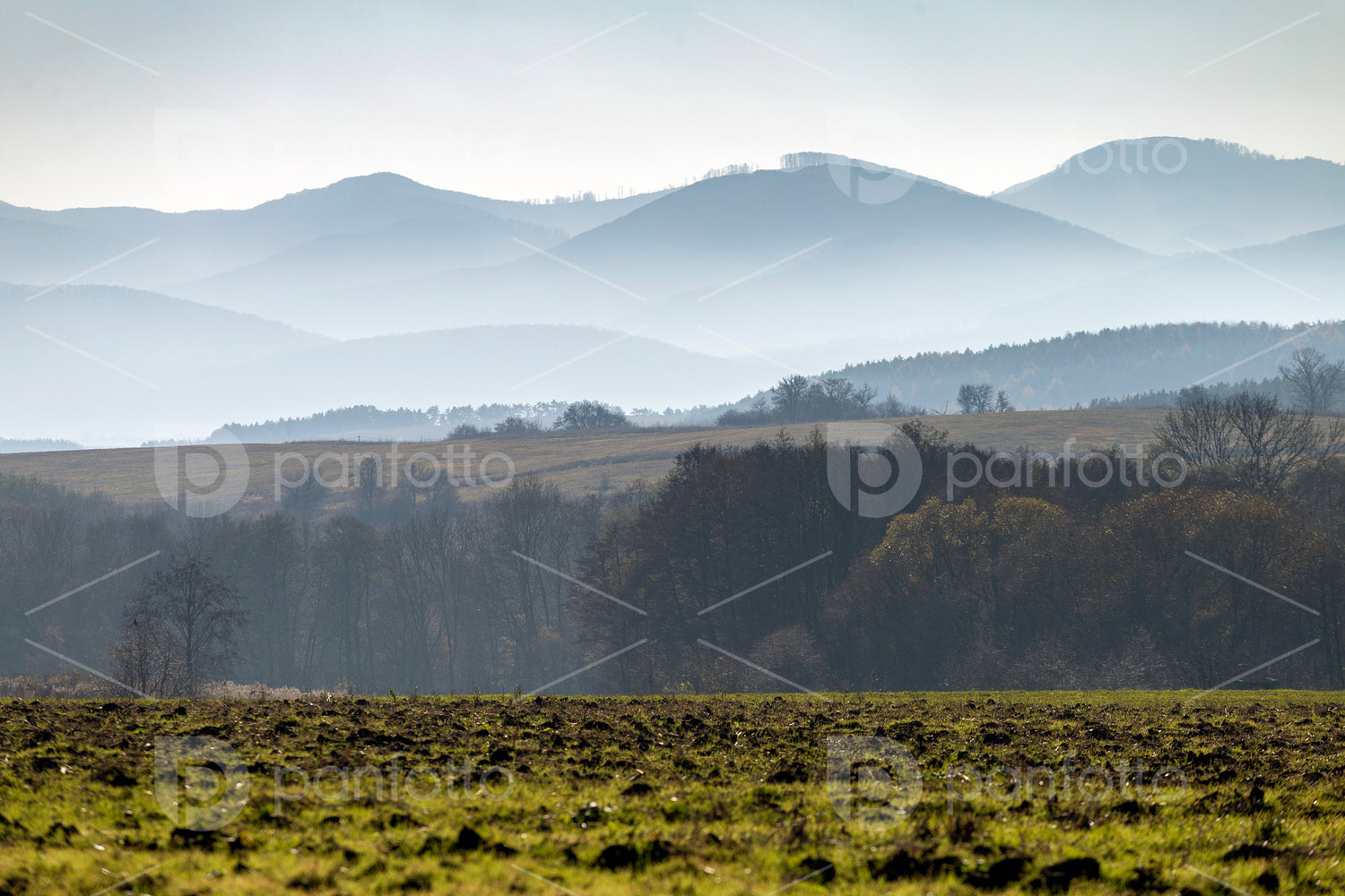 Winter landscape in the Zemplén mountains