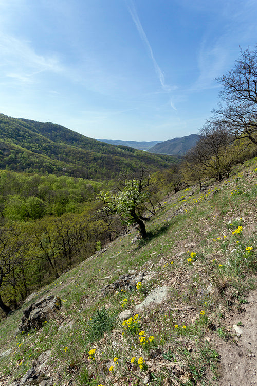 Spartacus trail in the Visegrád Mountains