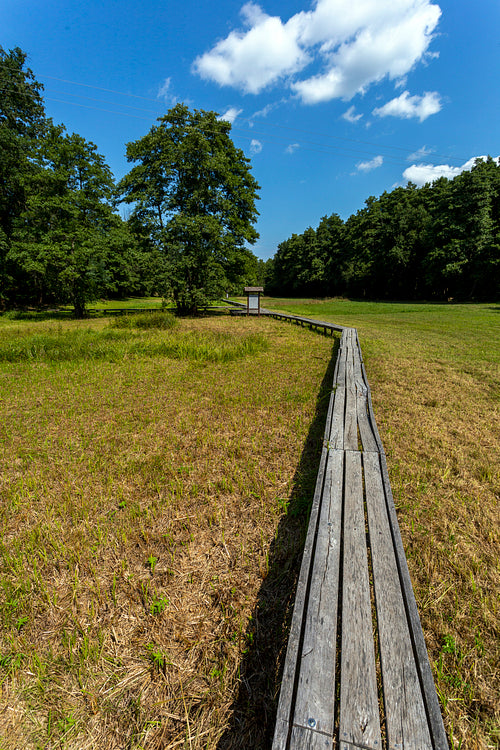 The moorland in Szőce