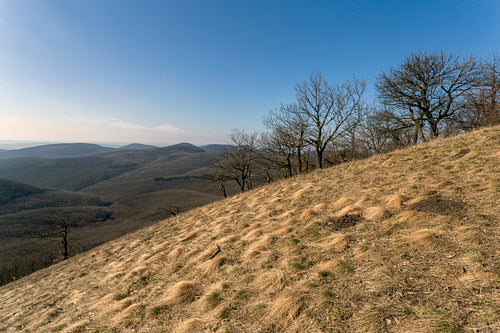 View from the Nagy-Sas-hegy in the Börzsöny