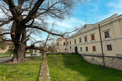 Entrance of the Castle of Sárospatak