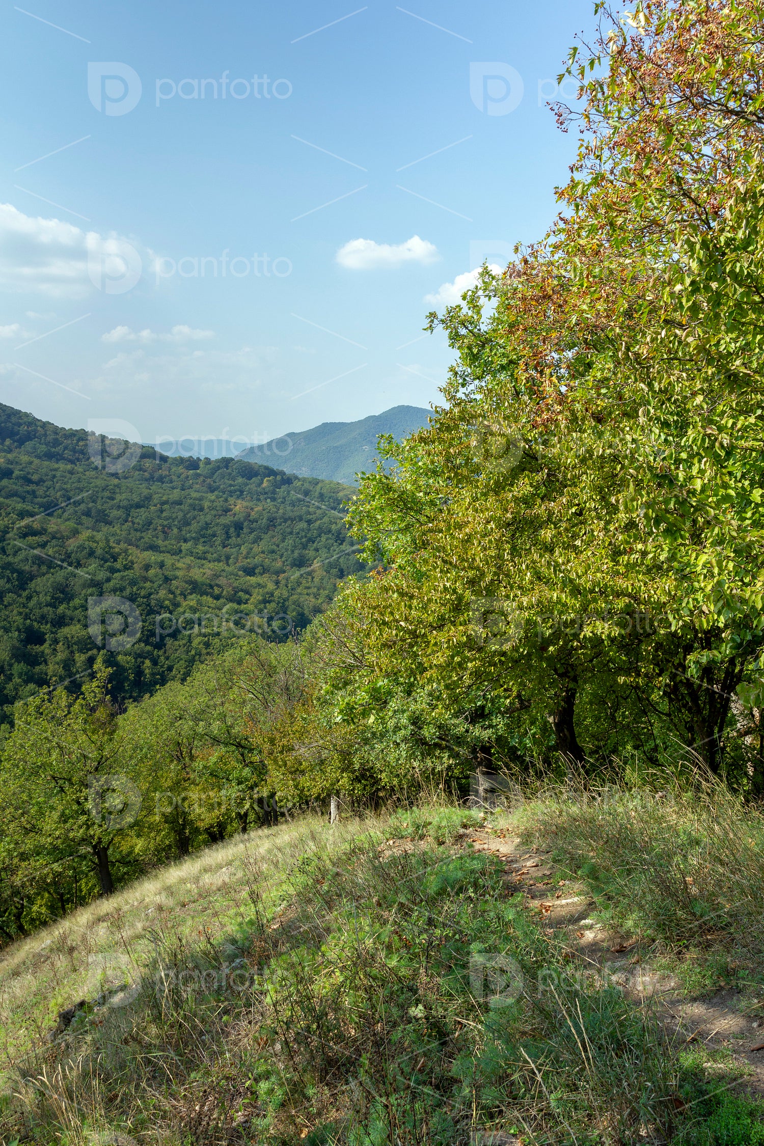 Spartacus trail in summer