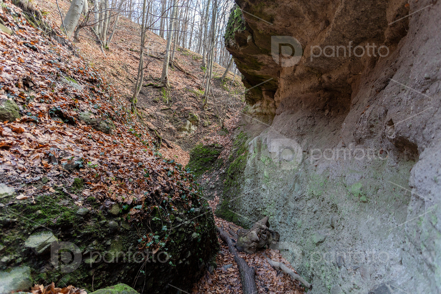 The Moonlight valley in the Visegrád Mountains