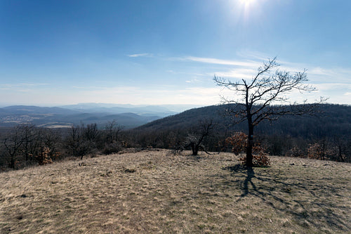 View from the Nagy-Sas-hegy in the Börzsöny