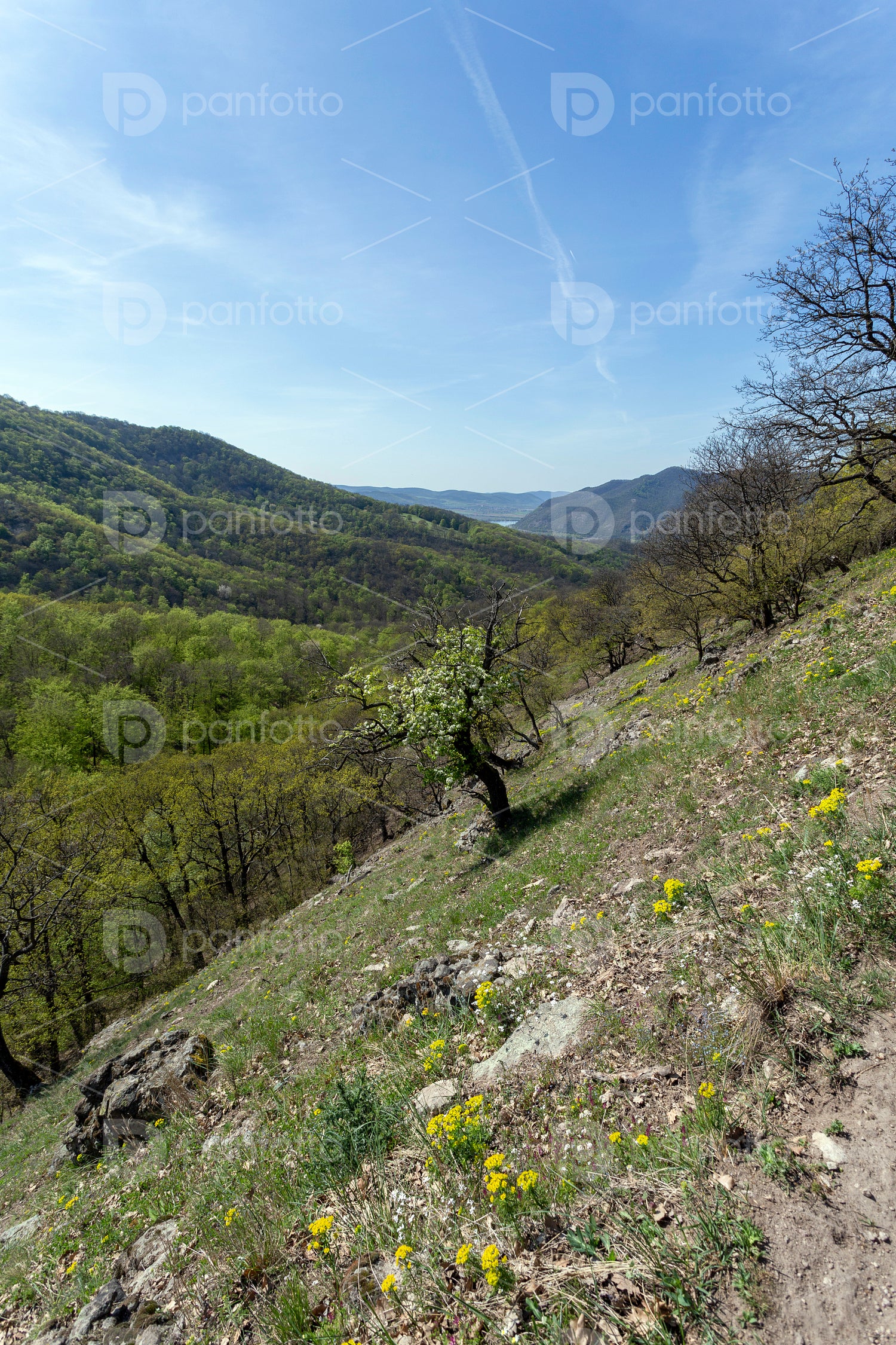 Spartacus trail in the Visegrád Mountains