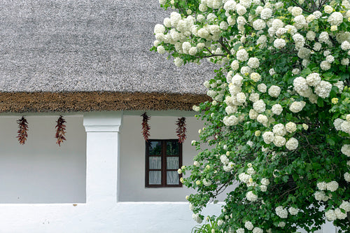 Traditional cottage house of Sükősd