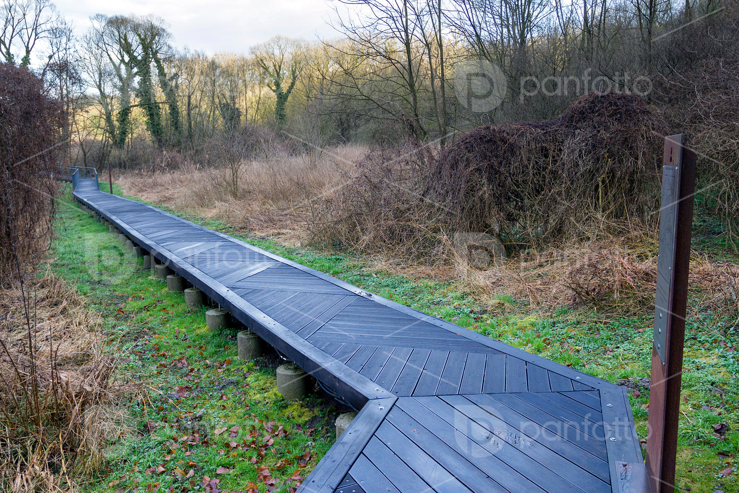 Wood pathwalk in Somogyvár