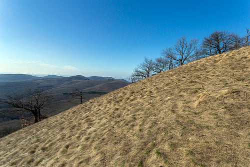 View from the Nagy-Sas-hegy in the Börzsöny