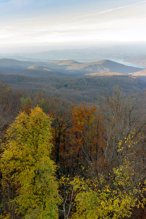 Danube bend view from Dobogókő
