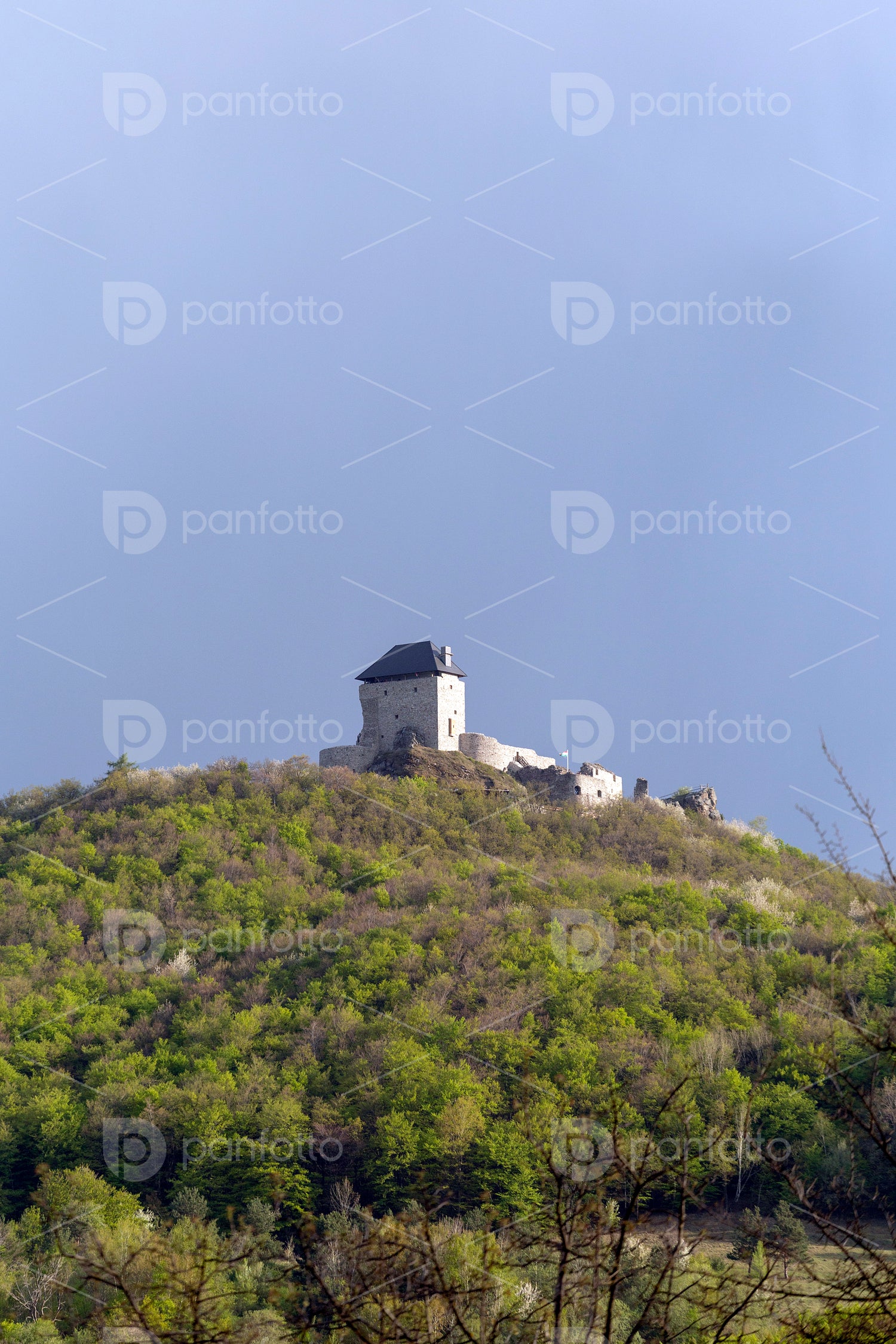 Castle of Regéc