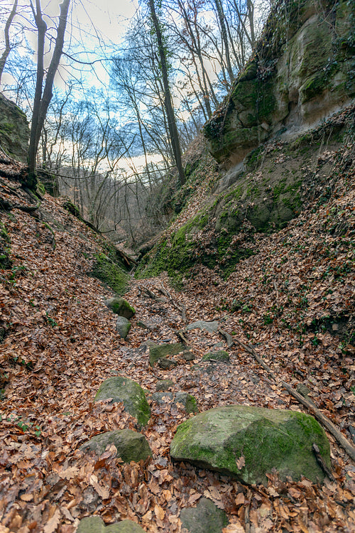 The Moonlight valley in the Visegrád Mountains