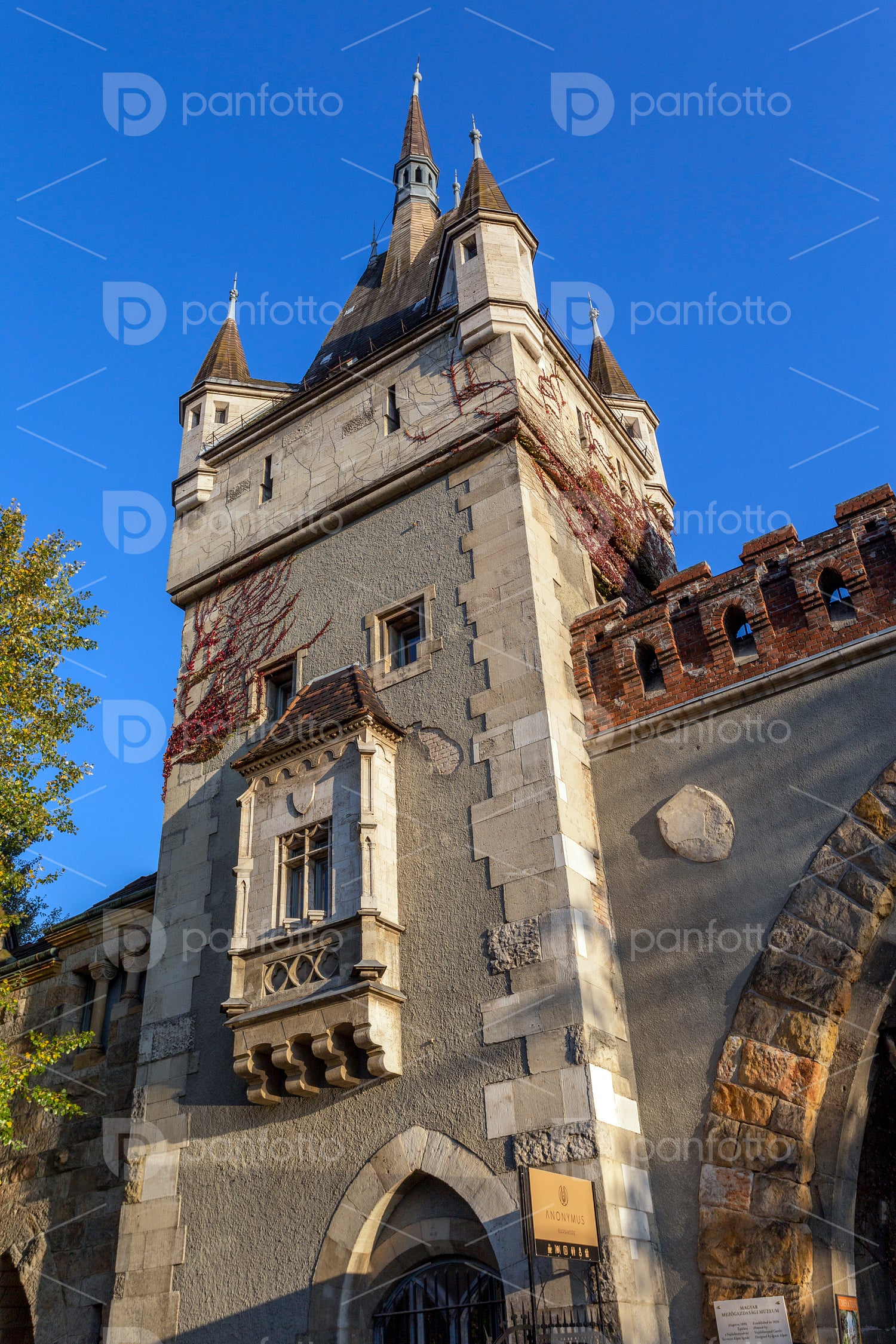 Vajdahunyad Castle in Budapest