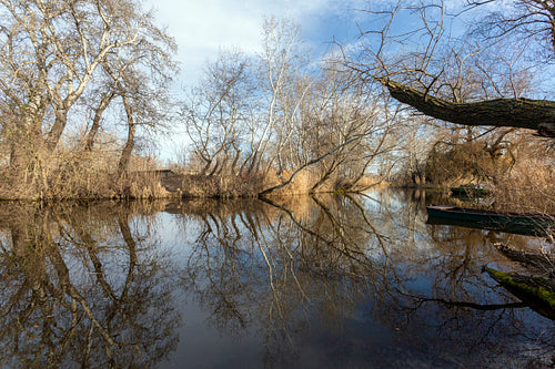 The river Danube at Szigetcsép