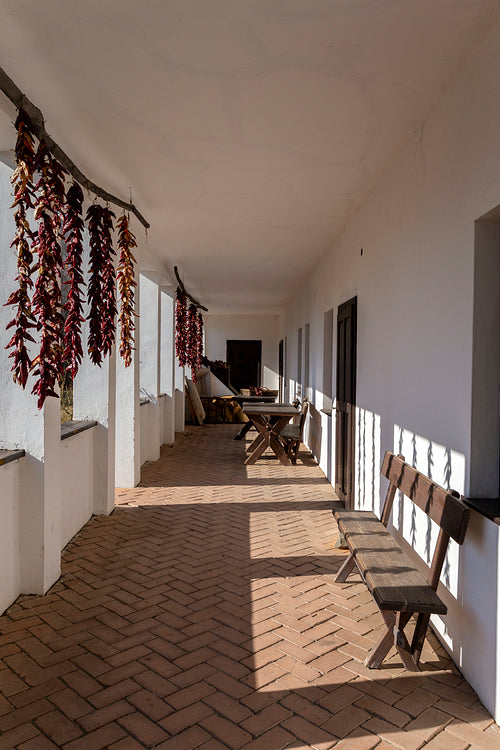 Traditional hungarian cottage house