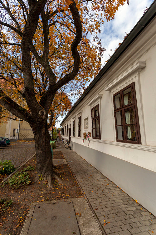 Ferenc Erkel Memorial House in Gyula