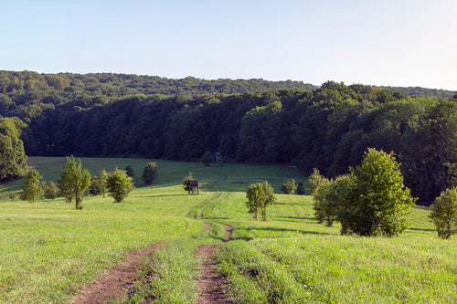 Hills of the Bakony