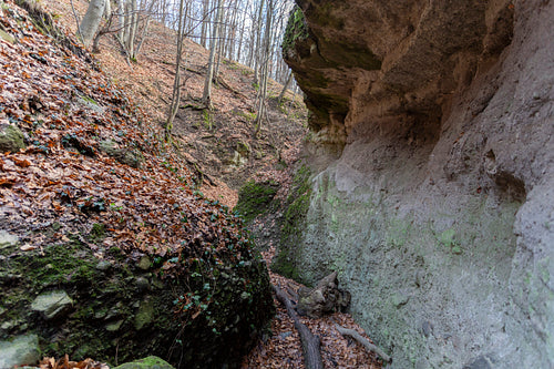 The Moonlight valley in the Visegrád Mountains