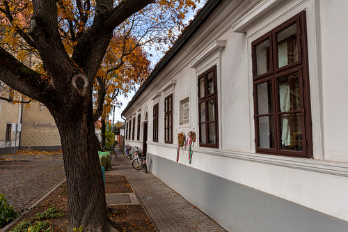 Ferenc Erkel Memorial House in Gyula