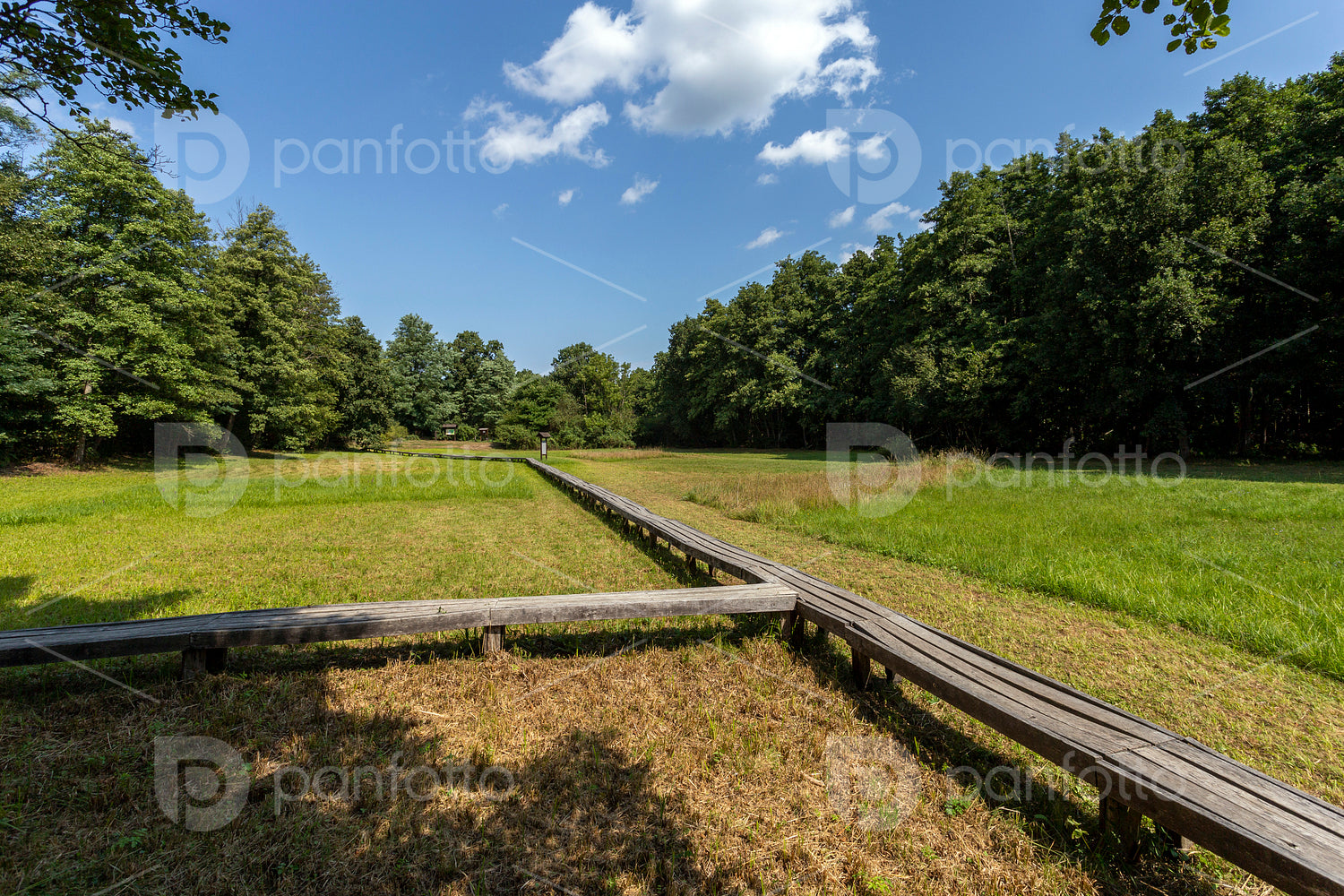 The moorland in Szőce