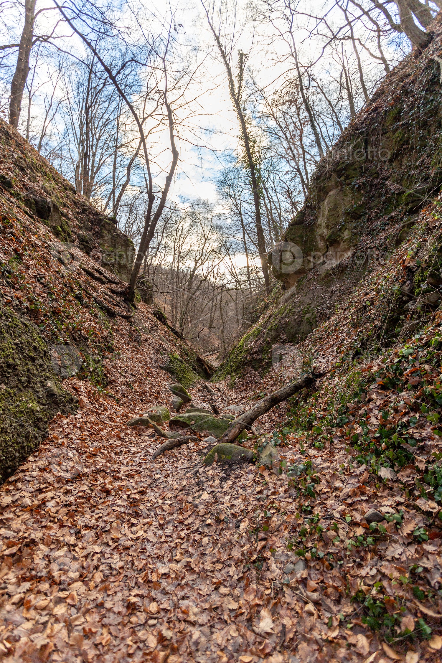 The Moonlight valley in the Visegrád Mountains