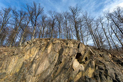 Volcanic rock on the Nagy-Hideg-hegy in the Börzsöny