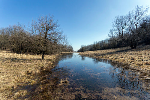 Small pond on the Nagy-Sas-hegy in the Börzsöny