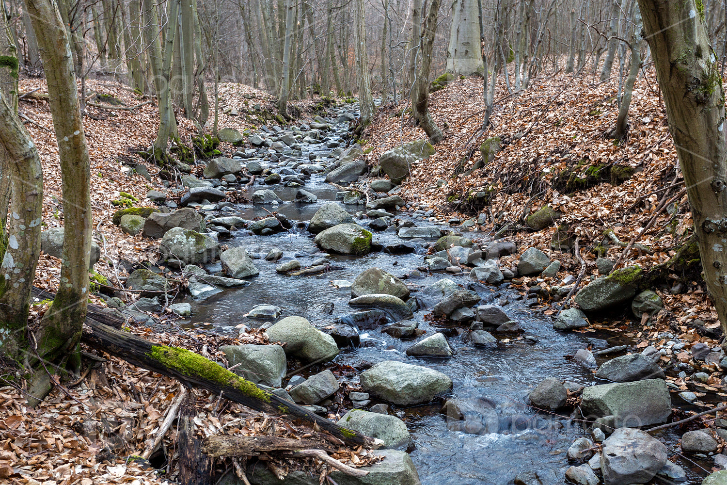 Small creek on the Nagy-Hideg-hegy in the Börzsöny