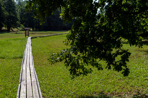 The moorland in Szőce