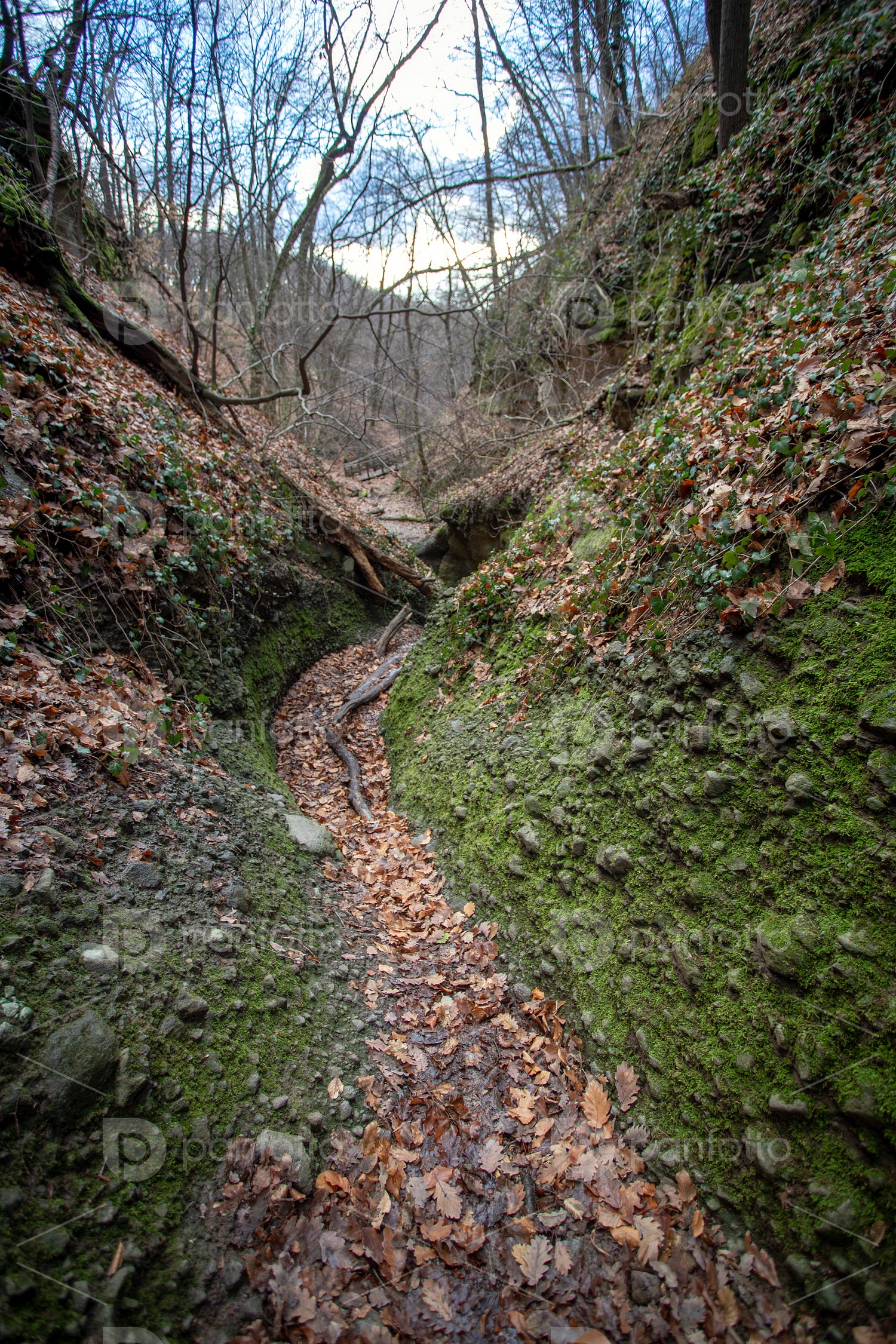 The Moonlight valley in the Visegrád Mountains
