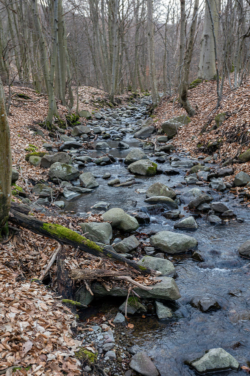 Small creek on the Nagy-Hideg-hegy in the Börzsöny
