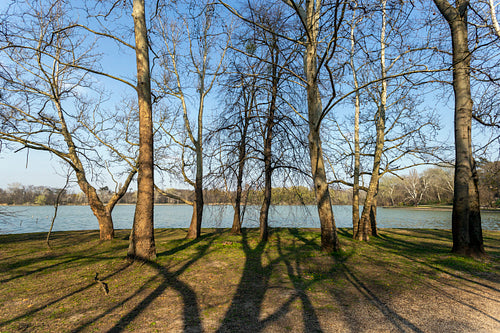 The Cseke lake in Tata, Hungary.