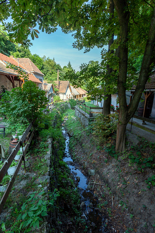 Wine cellars in Zsólyomka valley