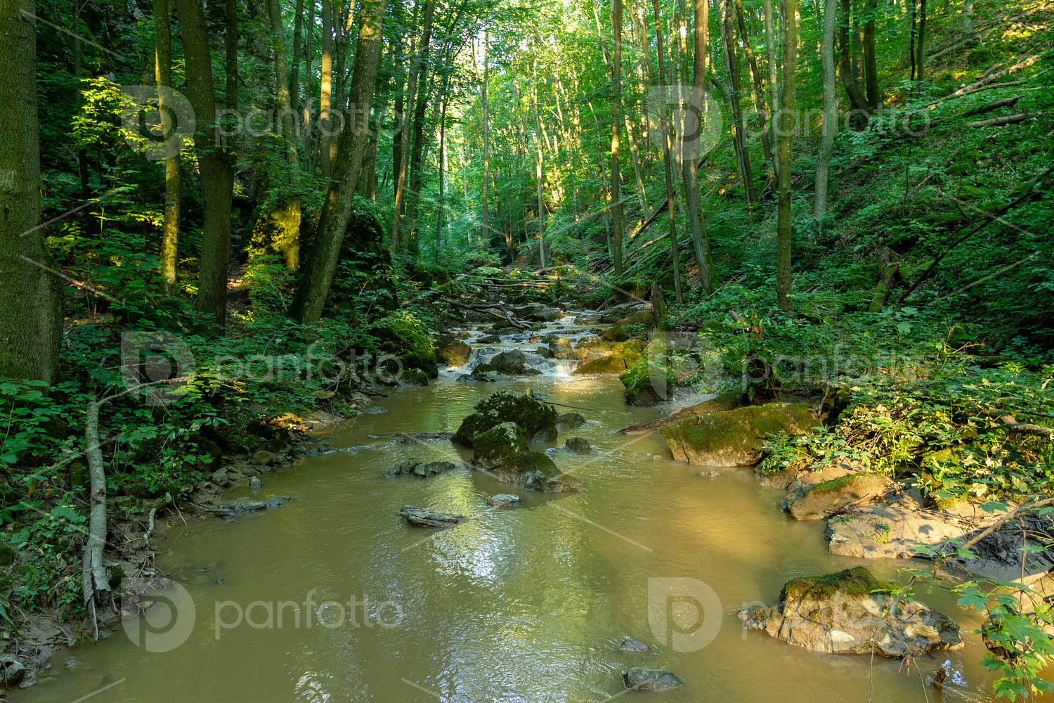 Gerence creek