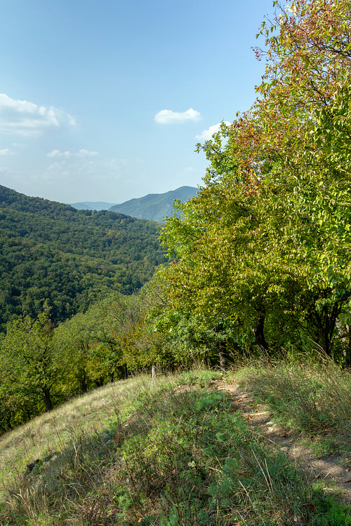 Spartacus trail in summer