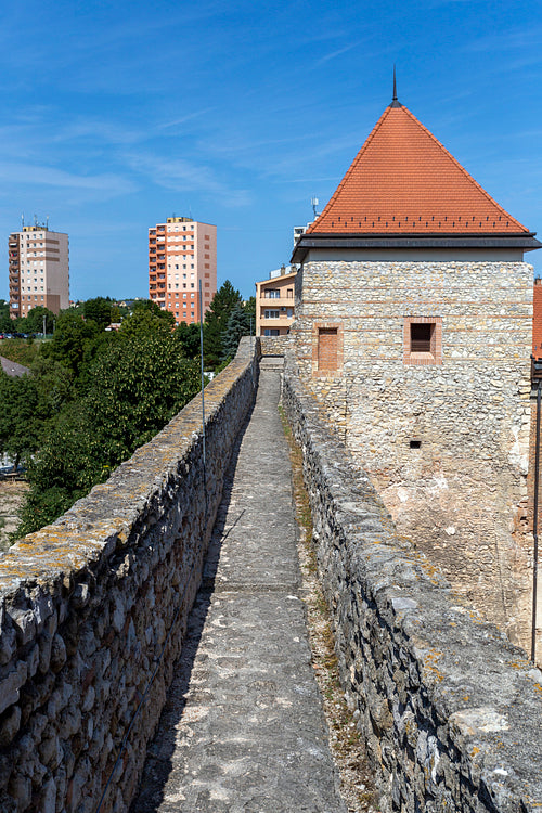 The Thury castle in Várpalota