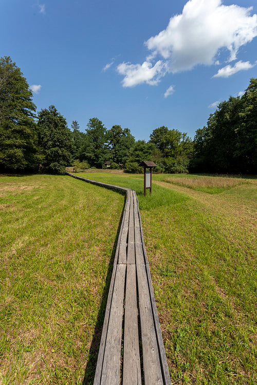 The moorland in Szőce