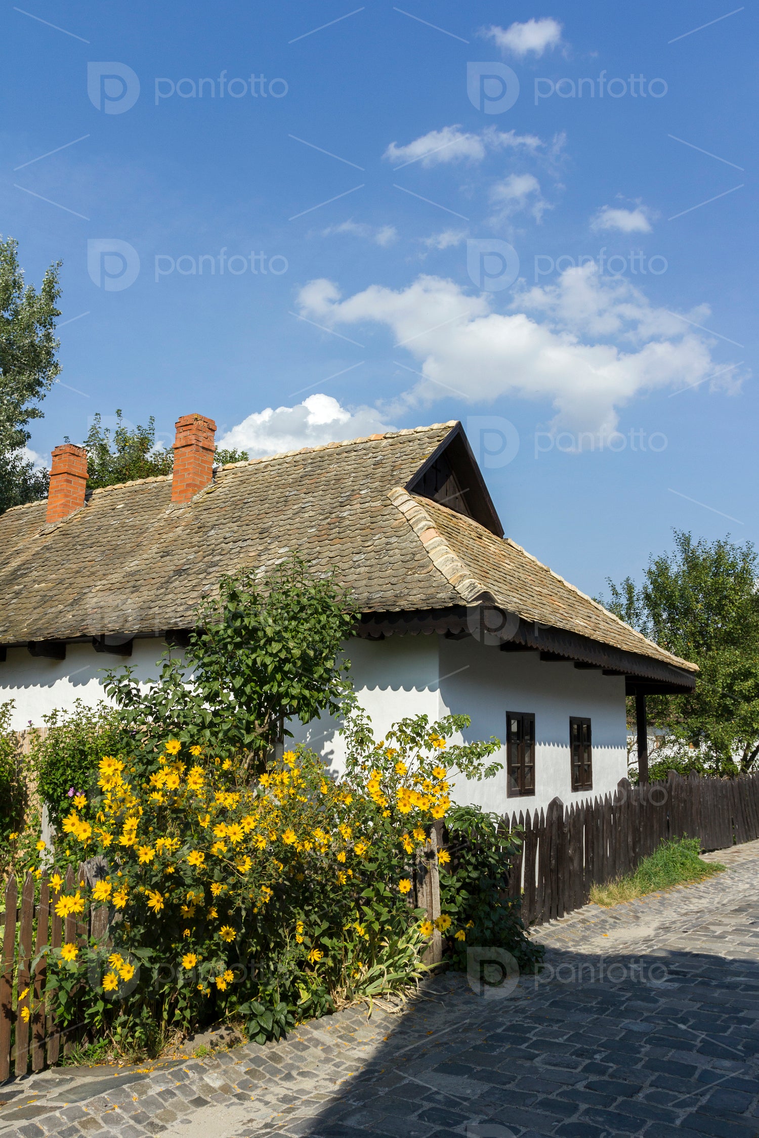 Village houses in Holloko