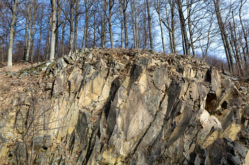 Volcanic rock on the Nagy-Hideg-hegy in the Börzsöny