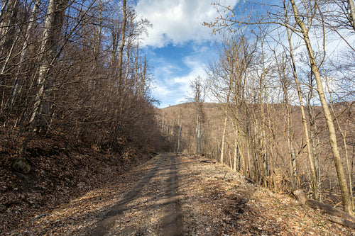 Hiking trail on the Nagy-Hideg-hegy in the Börzsöny