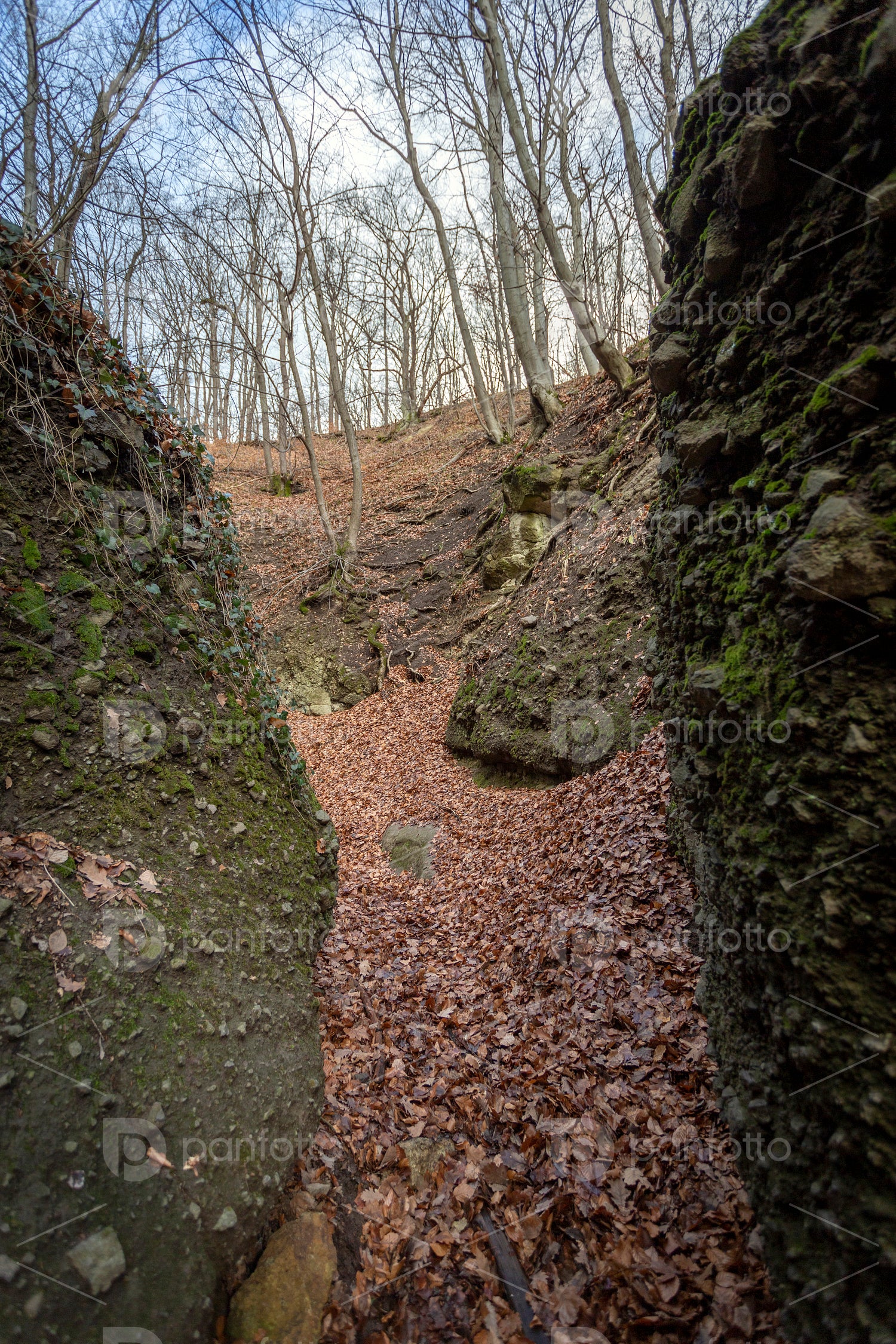 The Moonlight valley in the Visegrád Mountains