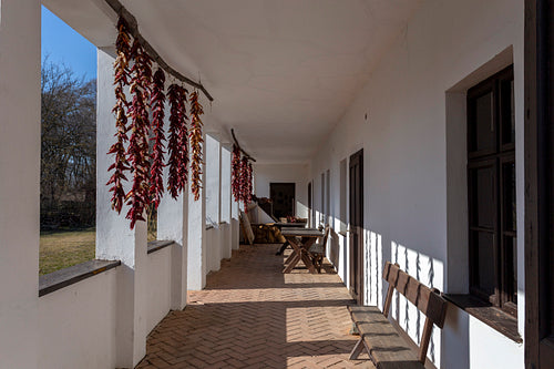 Traditional hungarian cottage house