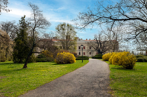 Castle of Sárospatak