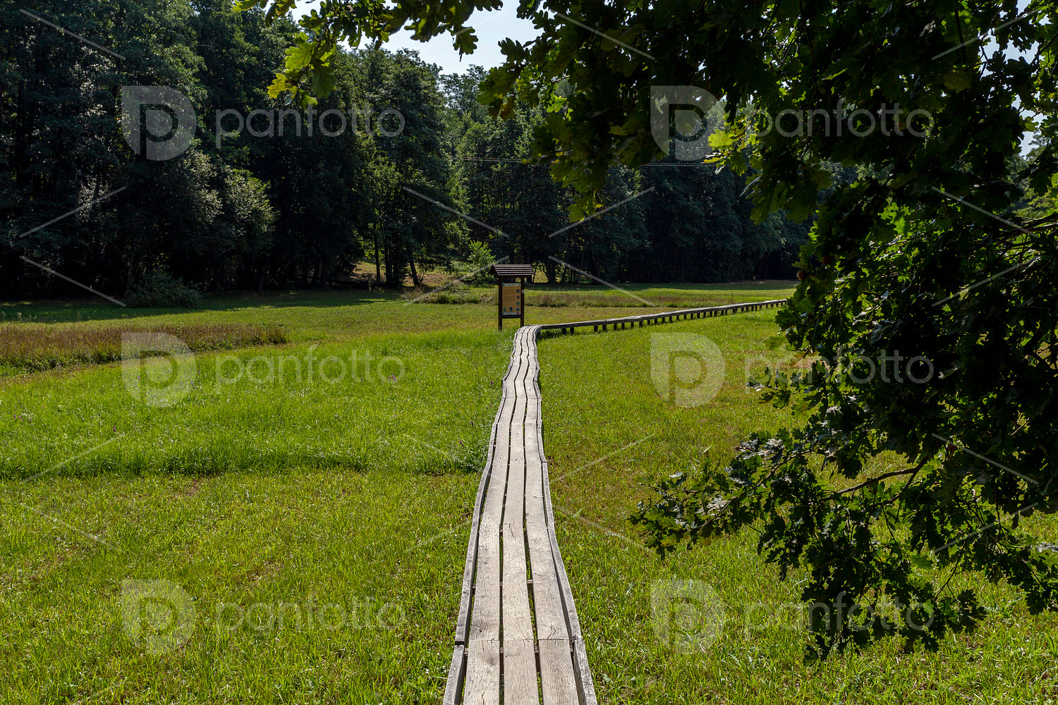 The moorland in Szőce