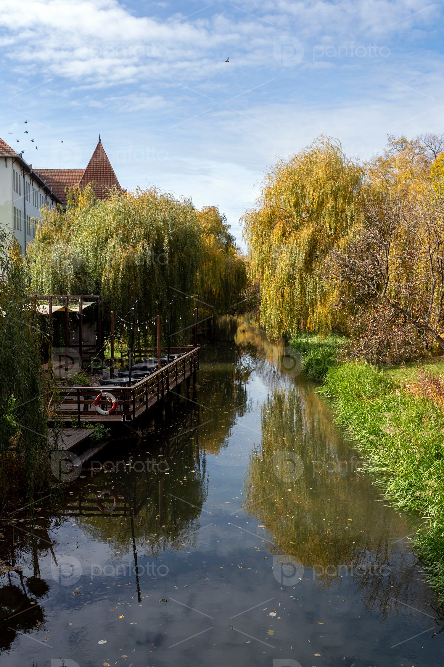 Autumn channel in Gyula