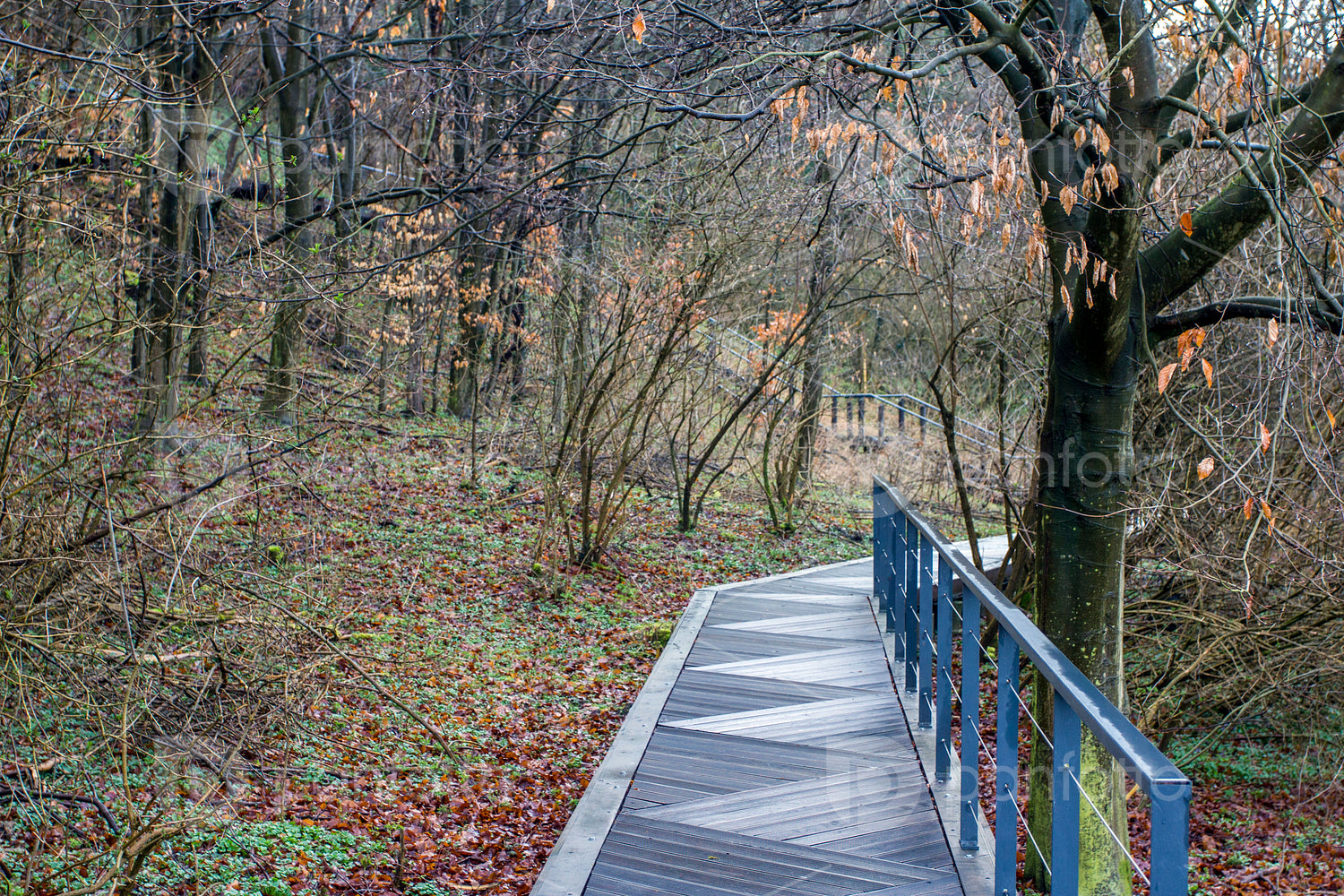 Wood pathwalk in Somogyvár