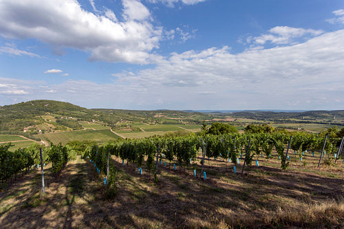Balaton Uplands