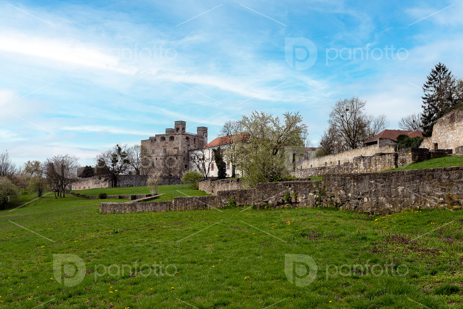 Castle of Sárospatak